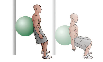 Double Leg Standing Squats w/ Swiss Ball