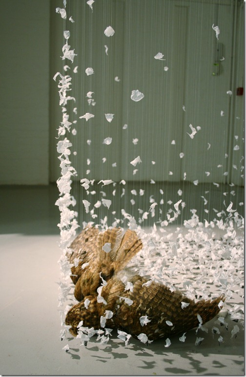 art claire morgan (6)