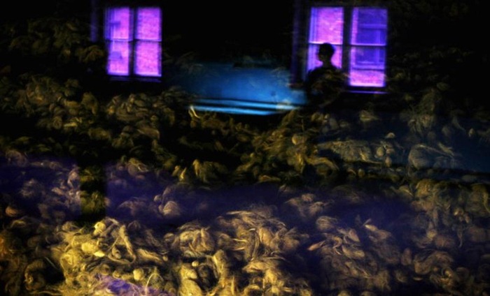 Auschwitz (16)