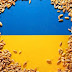 Phương Tây đau đầu "giải cứu" ngũ cốc Ukraine