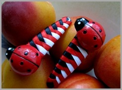 ladybug 1