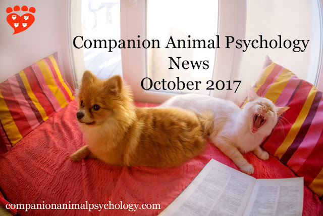 A dog and cat read the latest newsletter from Companion Animal Psychology