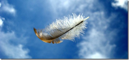 feather by cschubert18