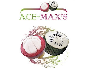  Ace Maxs