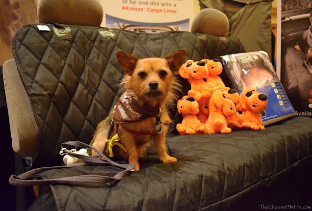 Jada visiting 4Knines at BlogPaws