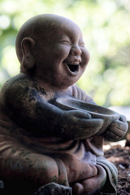 Imagen de <a href="https://pixabay.com/es/users/mrngochuy-14793987/?utm_source=link-attribution&amp;utm_medium=referral&amp;utm_campaign=image&amp;utm_content=4927705">Ngoc Huy Nguyen</a> en <a href="https://pixabay.com/es/?utm_source=link-attribution&amp;utm_medium=referral&amp;utm_campaign=image&amp;utm_content=4927705">Pixabay</a>