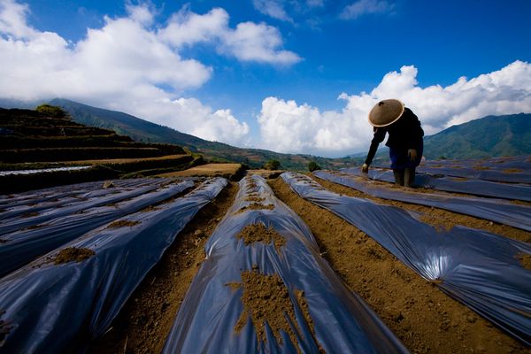 kumpuan foto pemandangan alam indah di indonesia