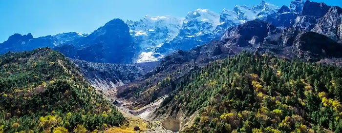 Gangotri National Park: पर्यटकों की पहली पसंद बना गंगोत्री नेशनल पार्क