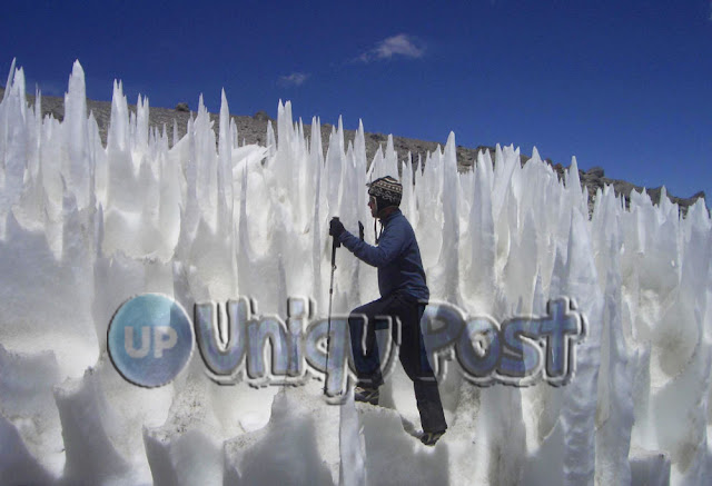 Penitentes