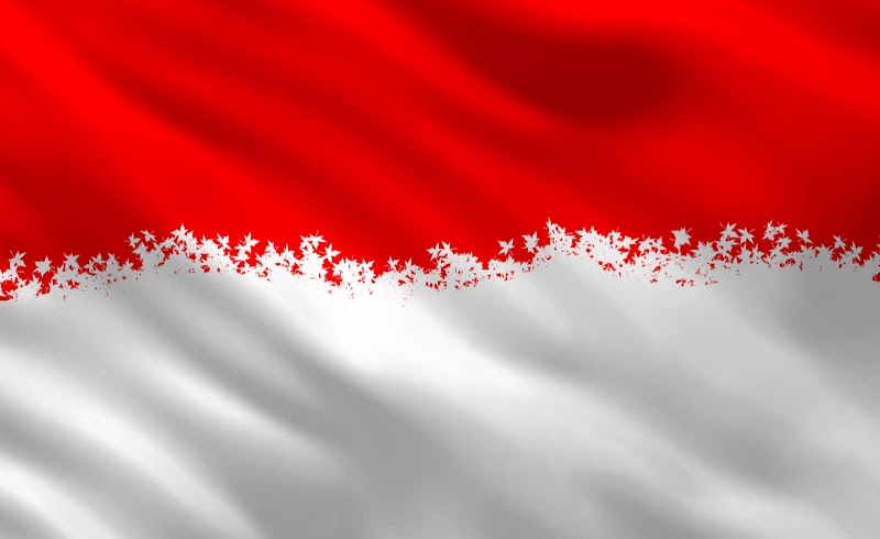 20+ Bendera Merah Putih Keren, Ide Terpopuler!