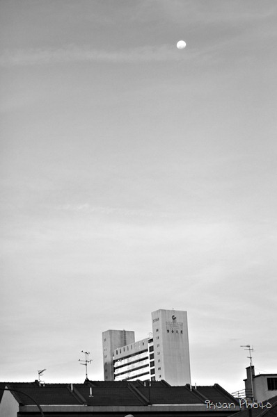 DSC_0593