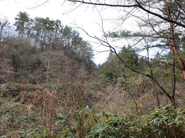 鳥取県西伯郡伯耆町丸山　ふれあいの森キャンプ場に向かう