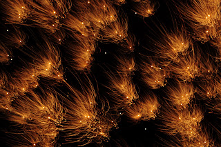 picture of a lot of mini fireworks that cover the entire frame, they are all white with a dark black background and the wind caused all the tails to go to the left. They look like a bunch of flowers floating in the wind except its night time and the flowers are made out of fire