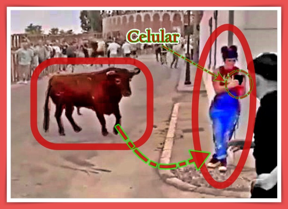 Mulher distraída é atingida por touro.