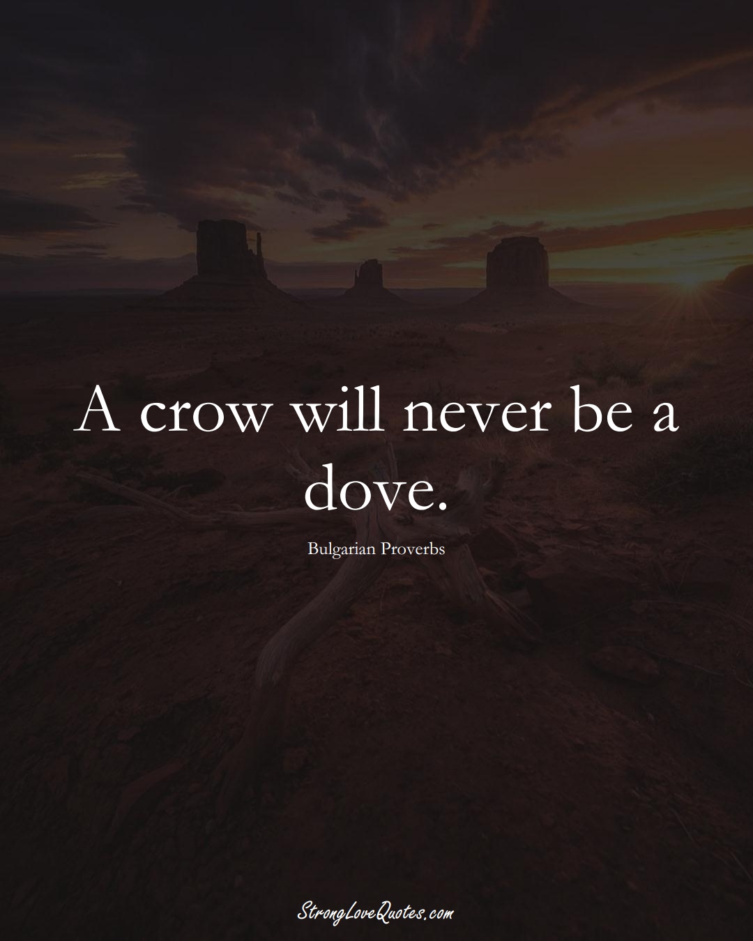 A crow will never be a dove. (Bulgarian Sayings);  #EuropeanSayings