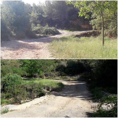 PR-C8 Santes Creus - Les Pobles - Castell de l'Albà- l'Albà - Santes Creus, camí de la Masieta al pas pel Torrent del Bruell