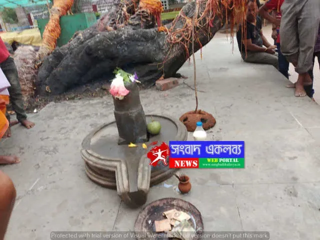 শিবলিঙ্গ