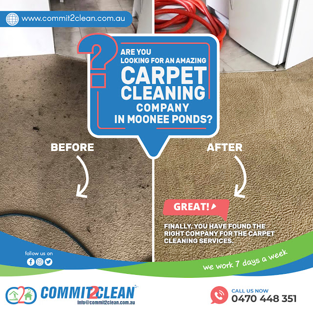 Looking For The Best Carpet Cleaning Moonee Ponds?