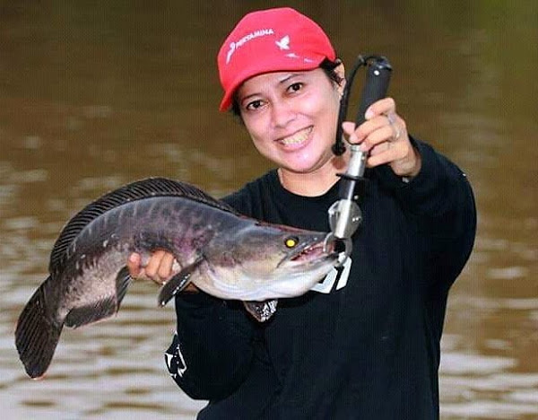 Foto Lady Angler Cantik Indonesia Strike Toman Raksasa