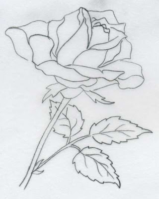 Drawings Of Roses