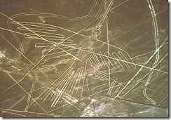 nazca-condor