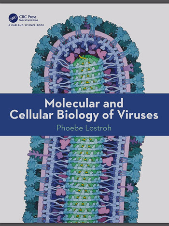 For more technical details of biology of viruses (Source: P. Lostroh, "Molecular and Cellular Biology of Viruses")