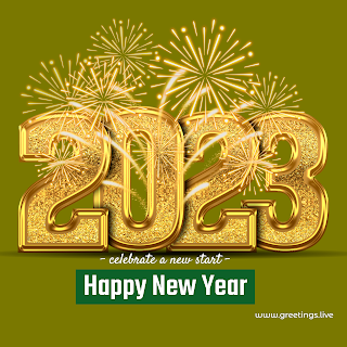 2023 New Year wishes image with 3D golden text and fire works olive green background colour