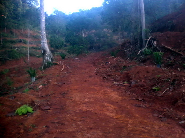 Senarai Kebun Untuk Dijual Di Batu Pahat 2013 ~ SENARAI 