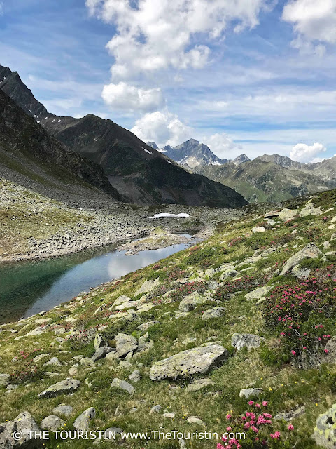 Clear blue-green mountain lake surrounded by mountain peaks and meadows dotted with pink spring flowers under a blue sky..