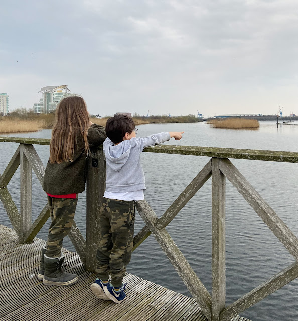 Cardiff bay Wetlands