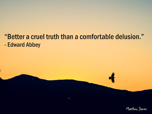 “Better a cruel truth than a comfortable delusion.” ― Edward Abbey 