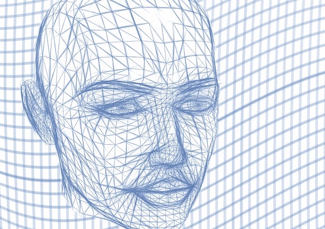 Head wireframe face