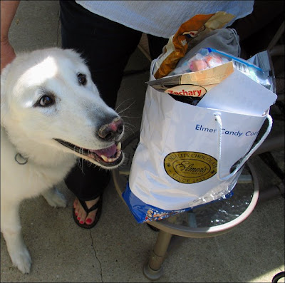 Clara meets the bag