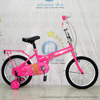 16 Inch Evergreen EG116 Princess Folding Bike