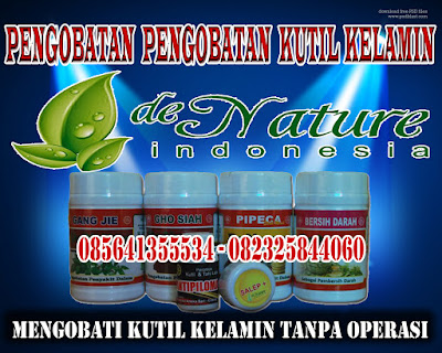 Obat Kutil Kelamin Pria Herbal