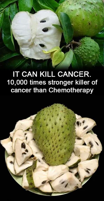 This One Plant Can Destroy Cancer Cells 10,000 Times Better Than Chemo