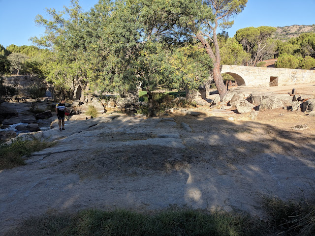 pinares-del-río-Cofio-en-valdemaqueda-en-bicicleta