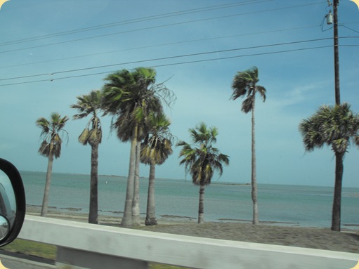 Day at Padre Island 125