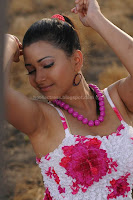 Swetha, basu, prasad, hot, cleavage, show, photos