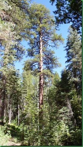 P1090192