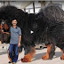 Giant Dog