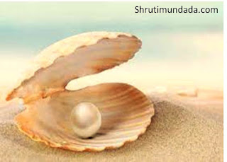 shrutimundada.com