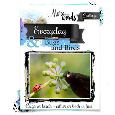 More Than Words April 2020 Birds and Bugs Challenge Board