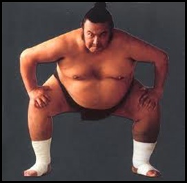 sumo