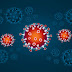 What Is Coronavirus?What You Should Do?