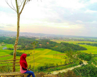 Bukit BLT Way Kepar Pringsewu Lampung