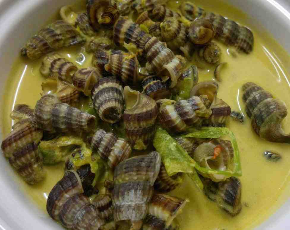 Resepi Siput Sedut Masak Lemak Cili Api - Blogopsi