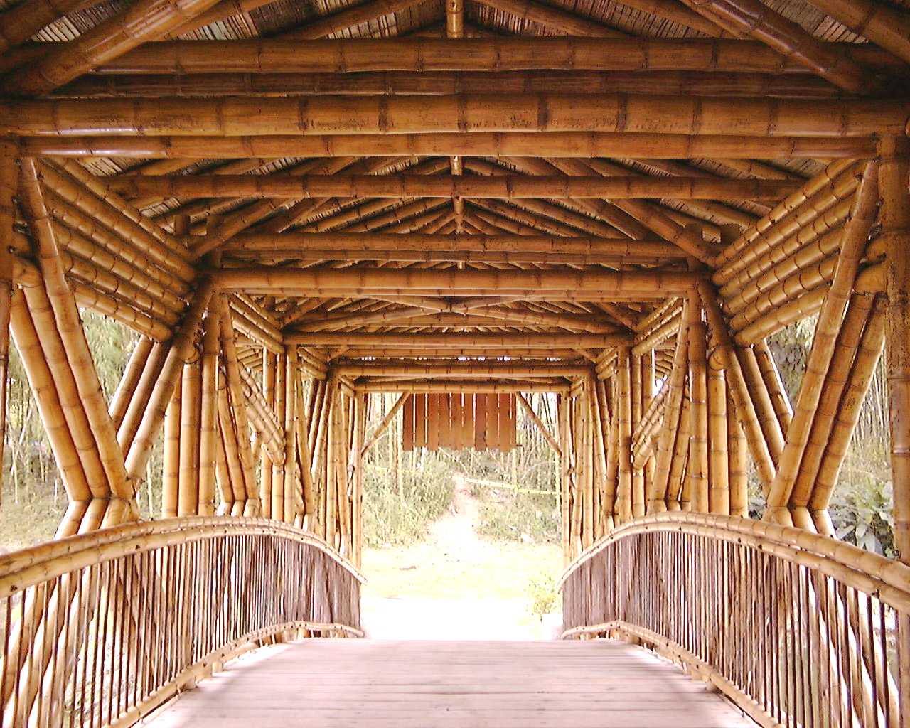 LA EVOLUCION ARQUITECTONICA: PUENTES EN CAÑA GUADUA