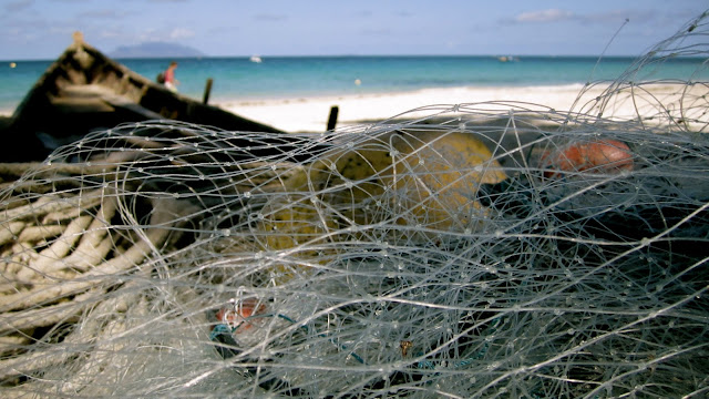 Nets on board. 