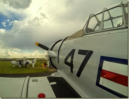 GOPR1006-Picasa